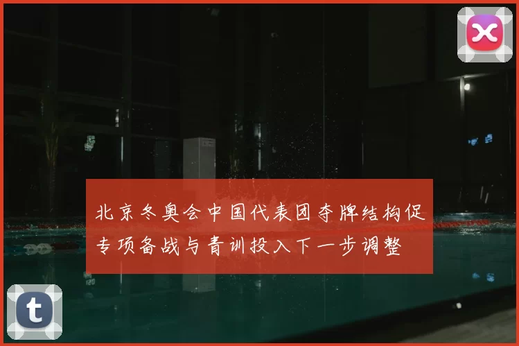 北京冬奥会中国代表团夺牌结构促专项备战与青训投入下一步调整