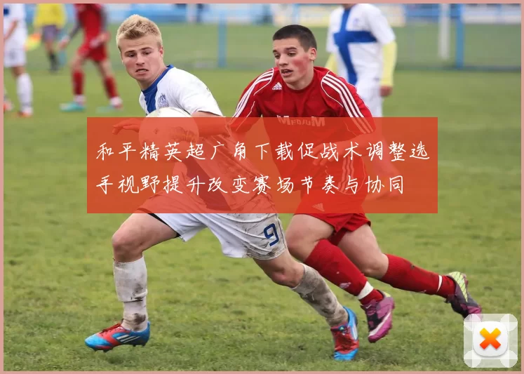 和平精英超广角下载促战术调整选手视野提升改变赛场节奏与协同