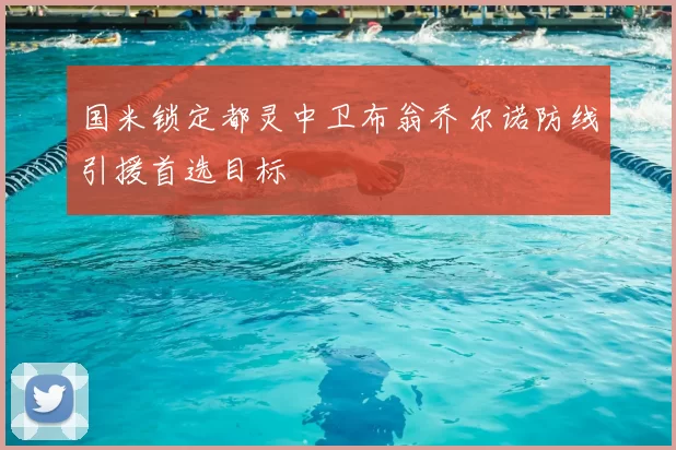 国米锁定都灵中卫布翁乔尔诺防线引援首选目标